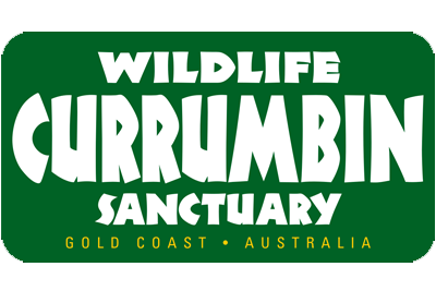 currumbin wildlife sanctuary